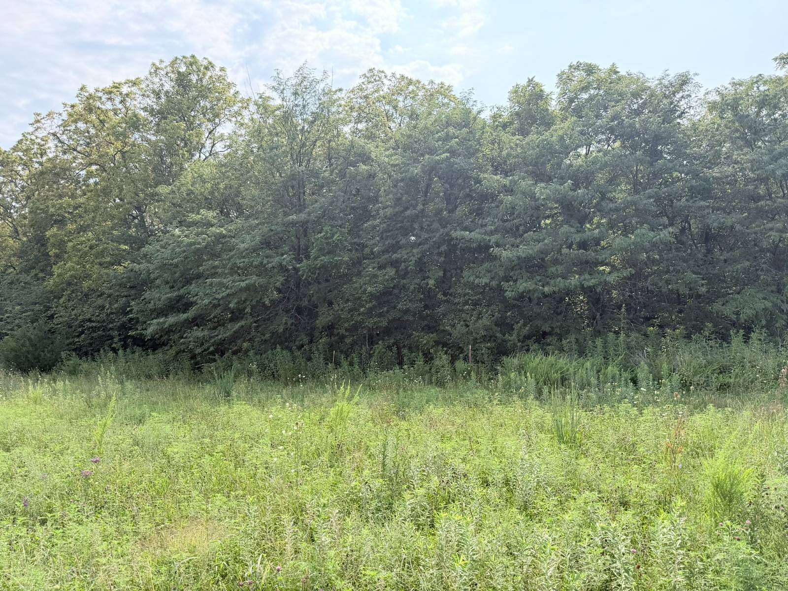 25 Acres of Land for Sale in Pattonsburg, Missouri