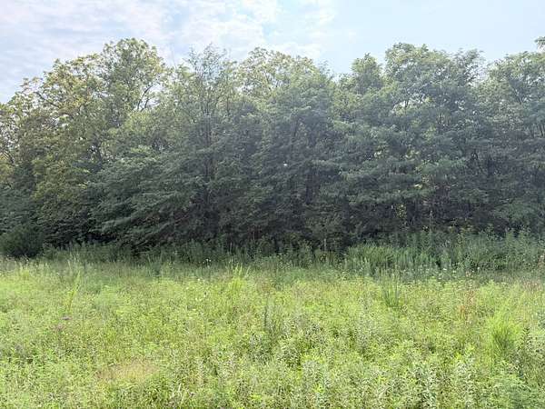 25 Acres of Land for Sale in Pattonsburg, Missouri