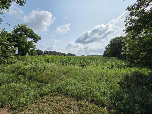 40 Acres of Recreational Land for Auction in Burlington, Michigan