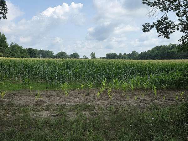 39 Acres of Recreational & Residential Land for Auction in Burlington, Michigan