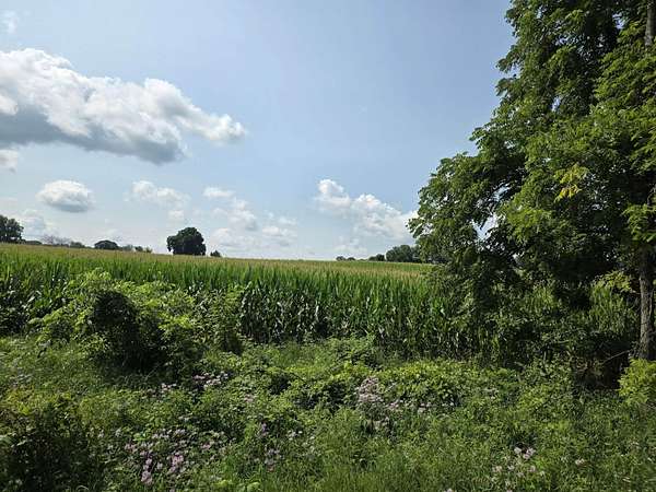 32.5 Acres of Recreational & Residential Land for Auction in Burlington, Michigan