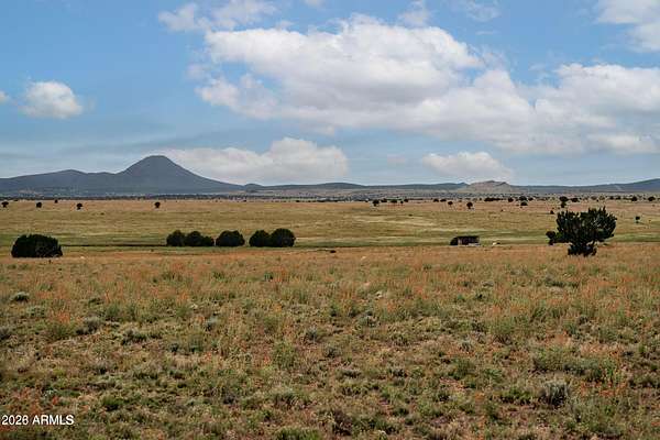 10 Acres of Recreational & Residential Land for Sale in Ash Fork, Arizona