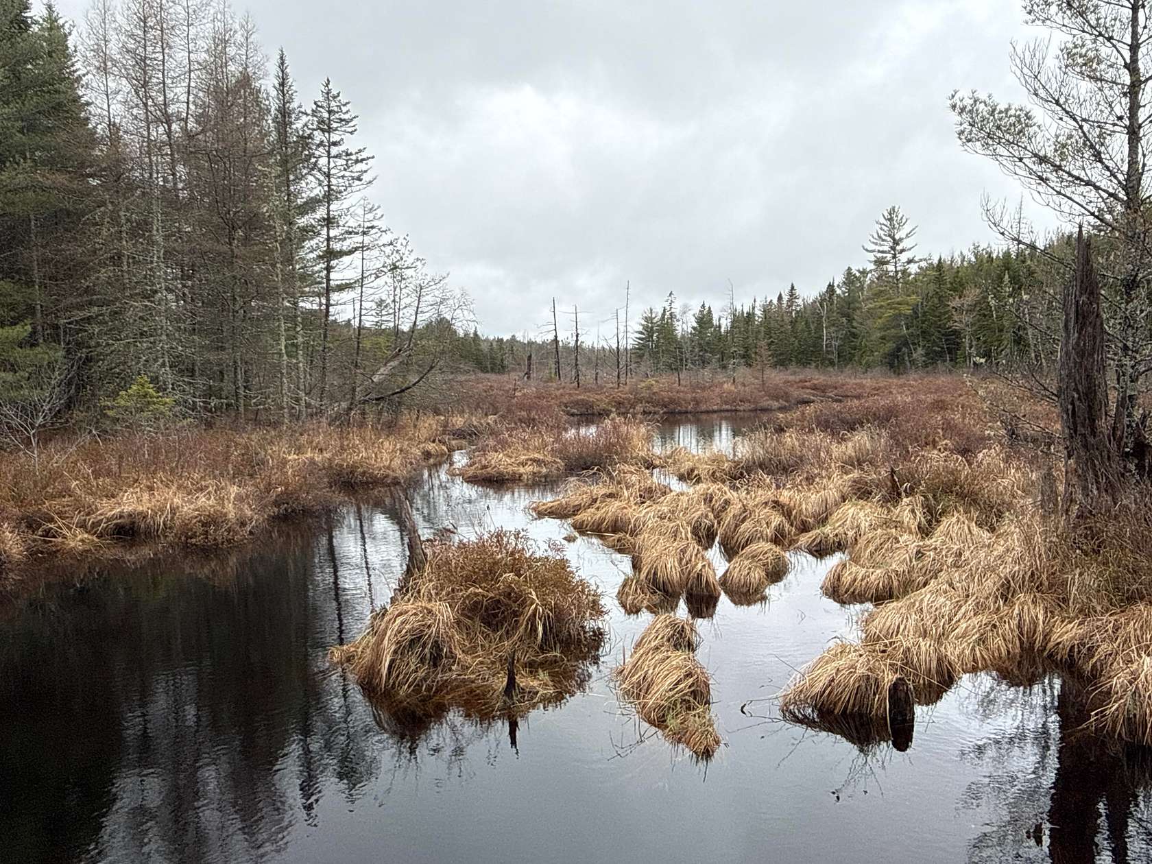 230 Acres of Land for Sale in Calais, Maine