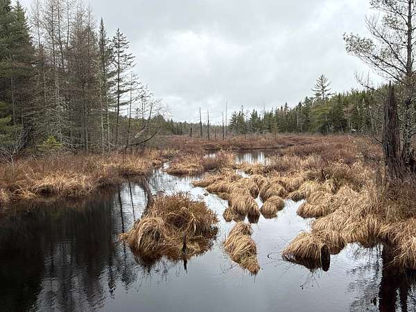 230 Acres of Land for Sale in Calais, Maine