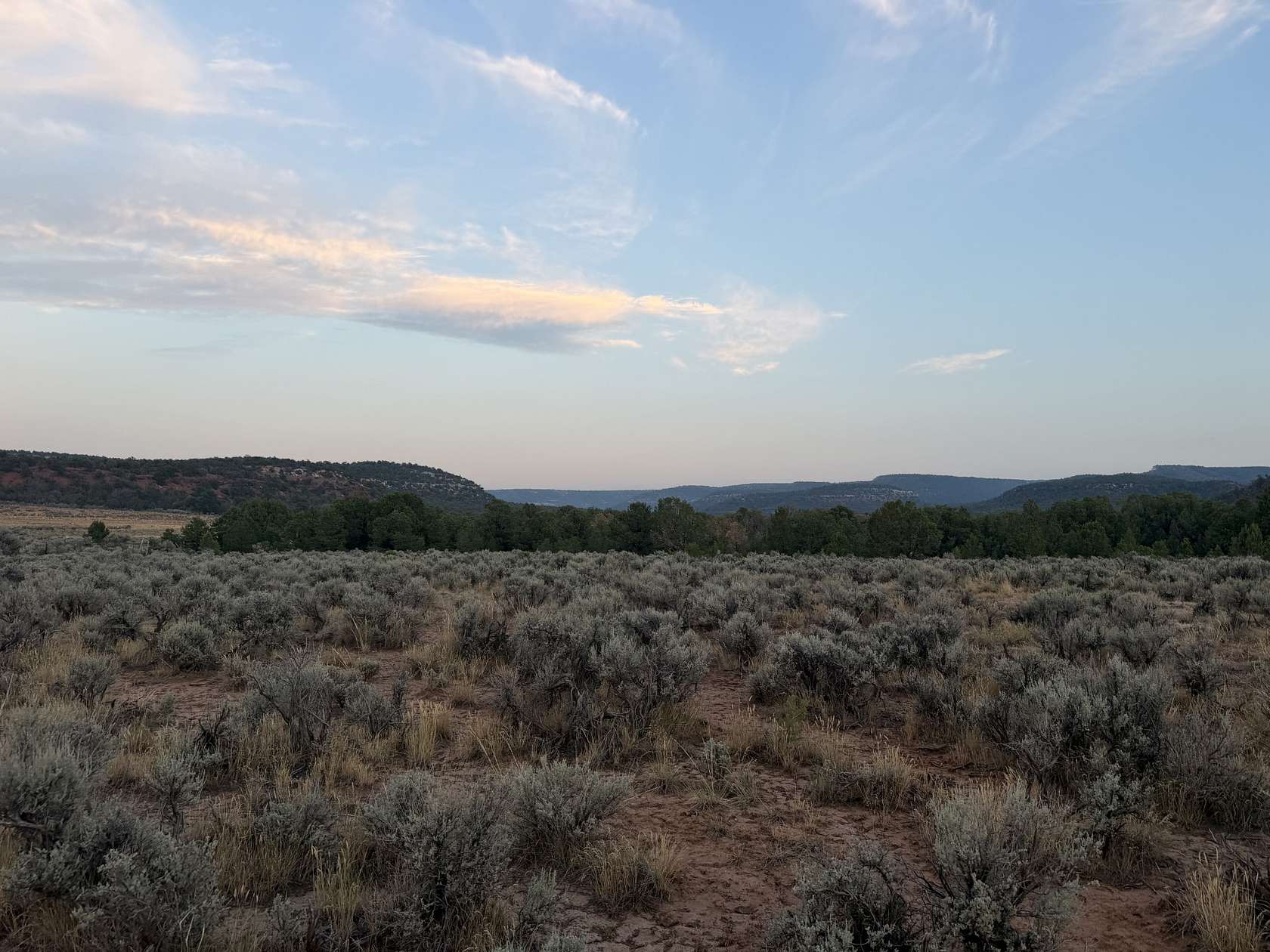 36.1 Acres of Land for Sale in Glade Park, Colorado