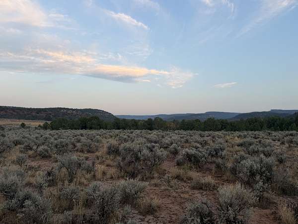 36.1 Acres of Land for Sale in Glade Park, Colorado
