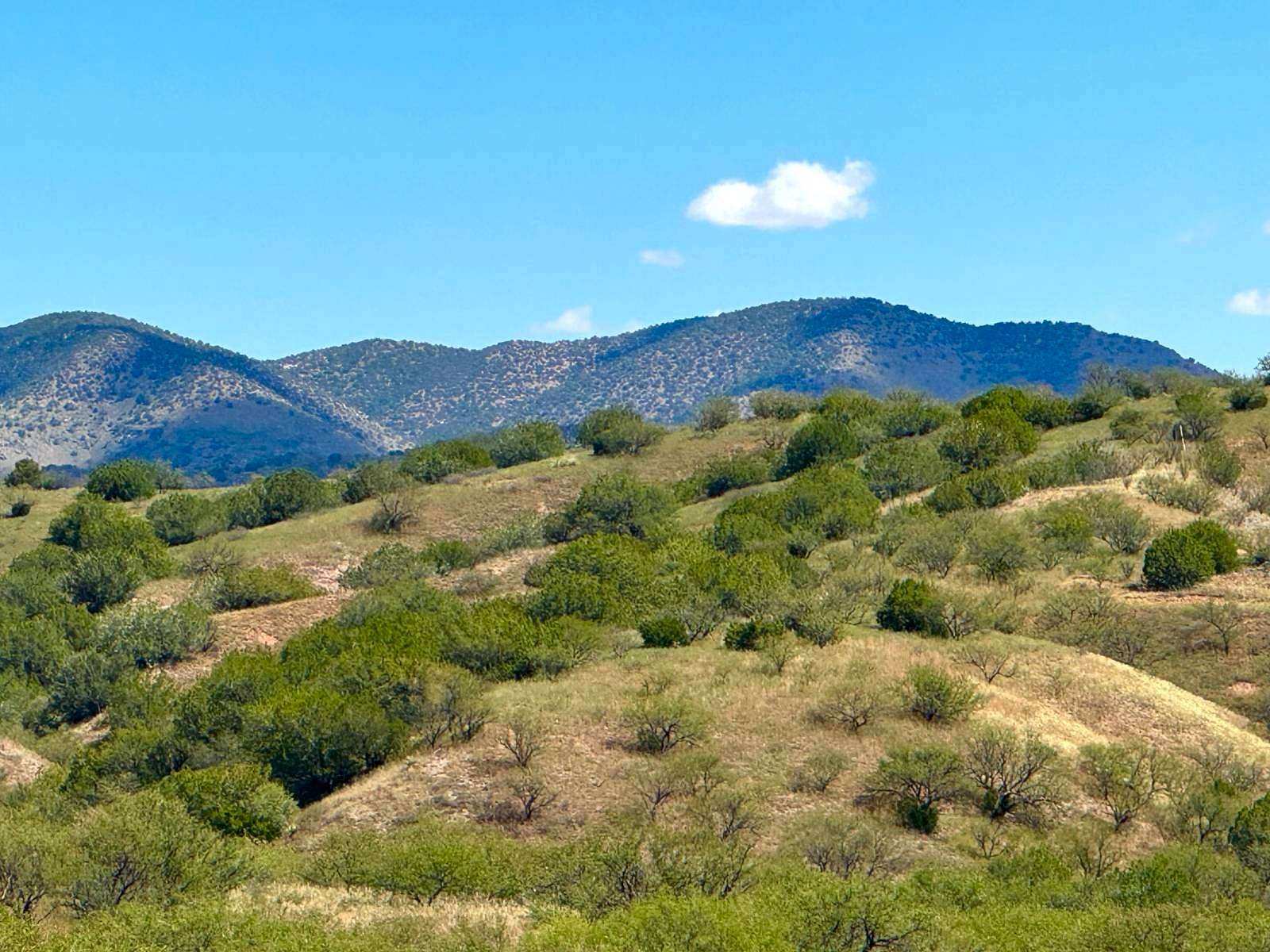 31.9 Acres of Recreational & Residential Land for Sale in Patagonia, Arizona