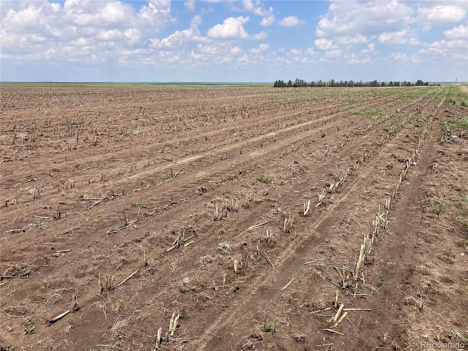 163 Acres of Agricultural Land for Sale in Bethune, Colorado