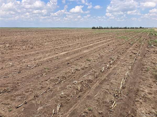 163 Acres of Agricultural Land for Sale in Bethune, Colorado