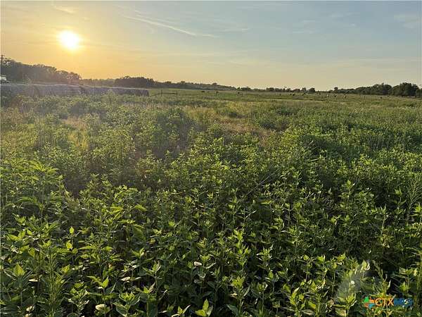 2 Acres of Land for Sale in Kosse, Texas