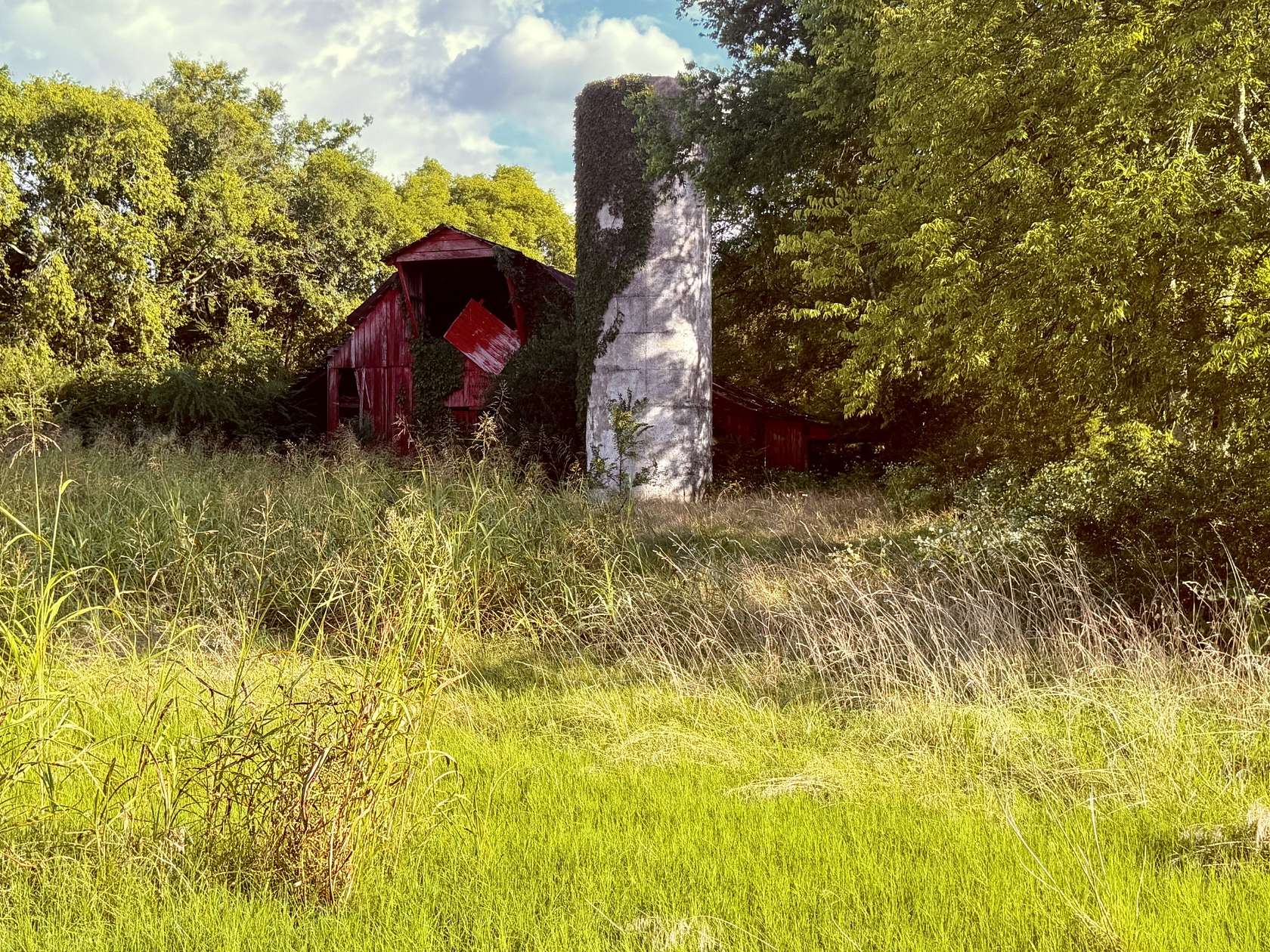 34 Acres of Land for Sale in Eagleville, Tennessee