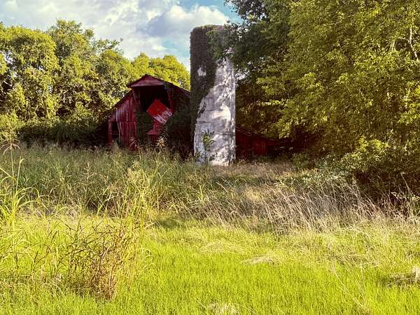 34 Acres of Land for Sale in Eagleville, Tennessee