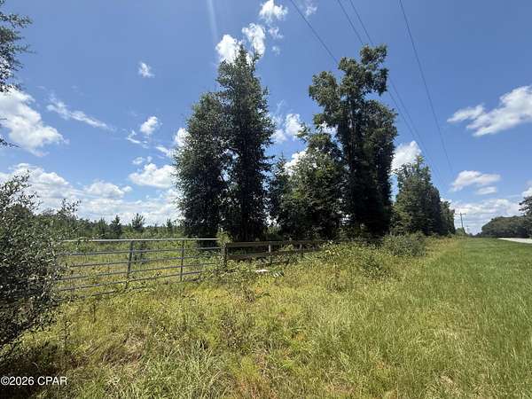 11.9 Acres of Land for Sale in Cottondale, Florida