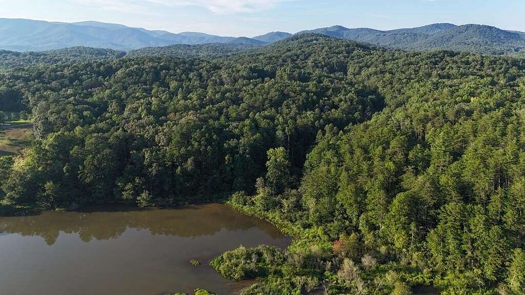 101 Acres of Land for Sale in Ellijay, Georgia