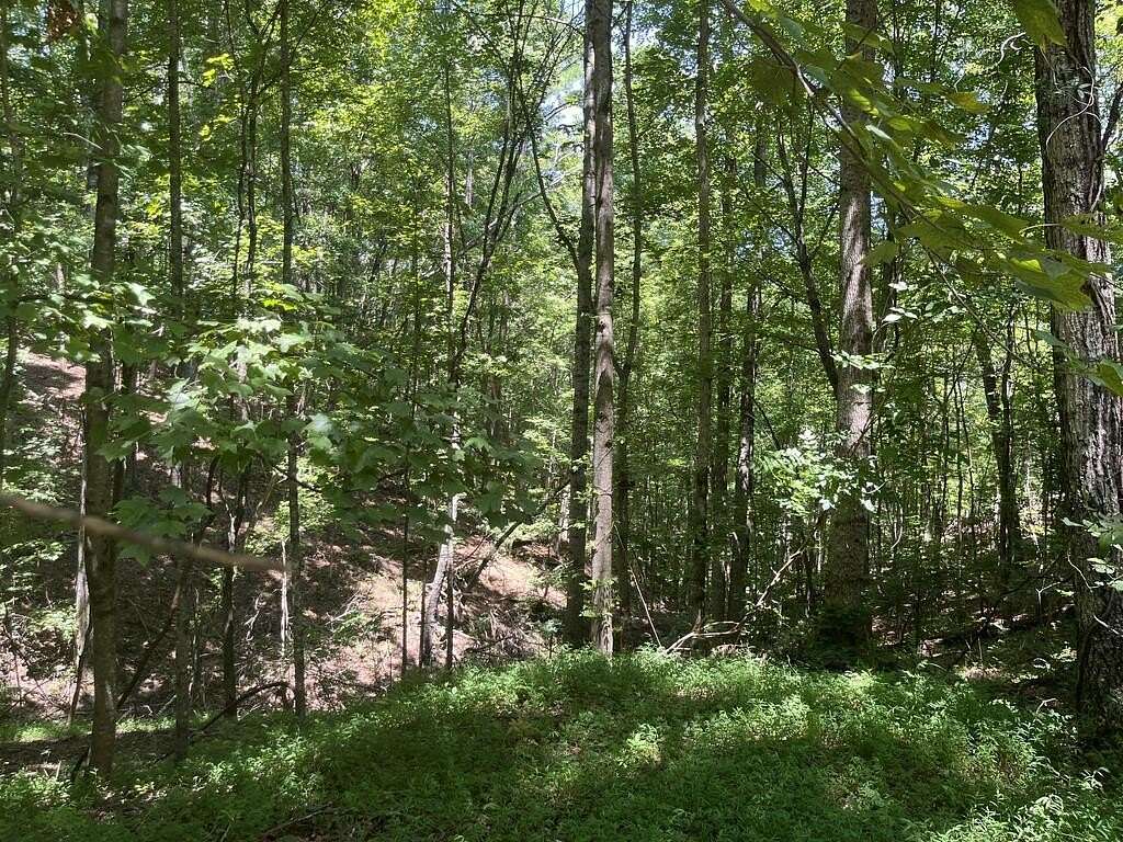 2 Acres of Land for Sale in Ellijay, Georgia