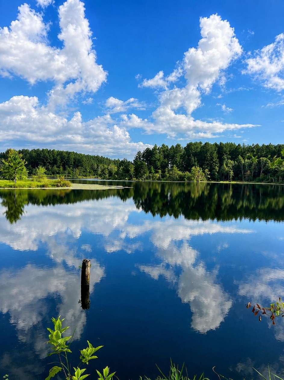 81 Acres of Recreational & Residential Land for Sale in Baker, Florida