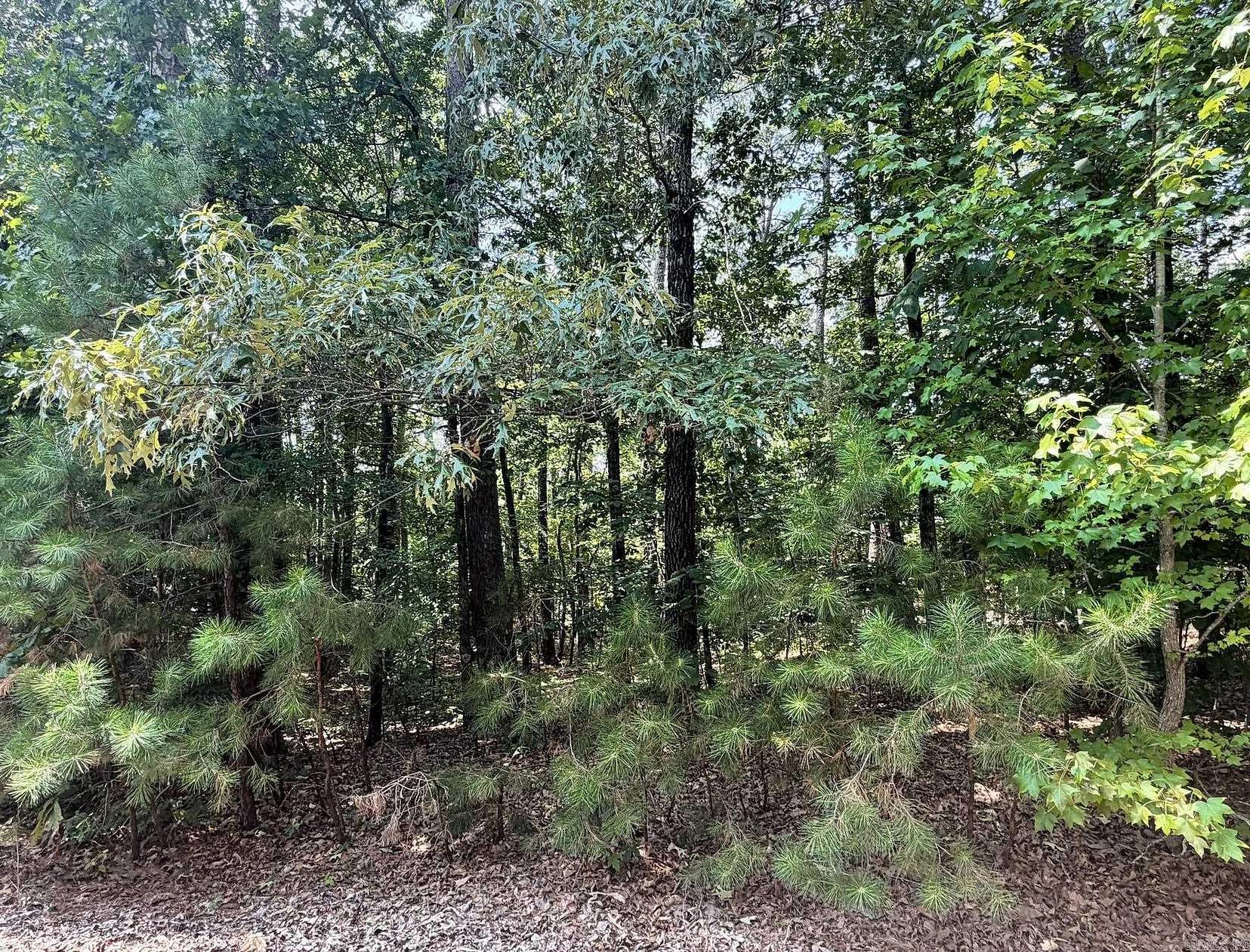 0.61 Acres of Residential Land for Sale in Hot Springs Village, Arkansas
