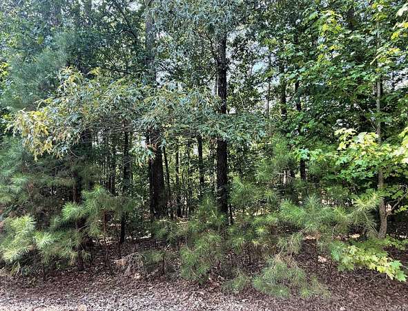 0.61 Acres of Residential Land for Sale in Hot Springs Village, Arkansas