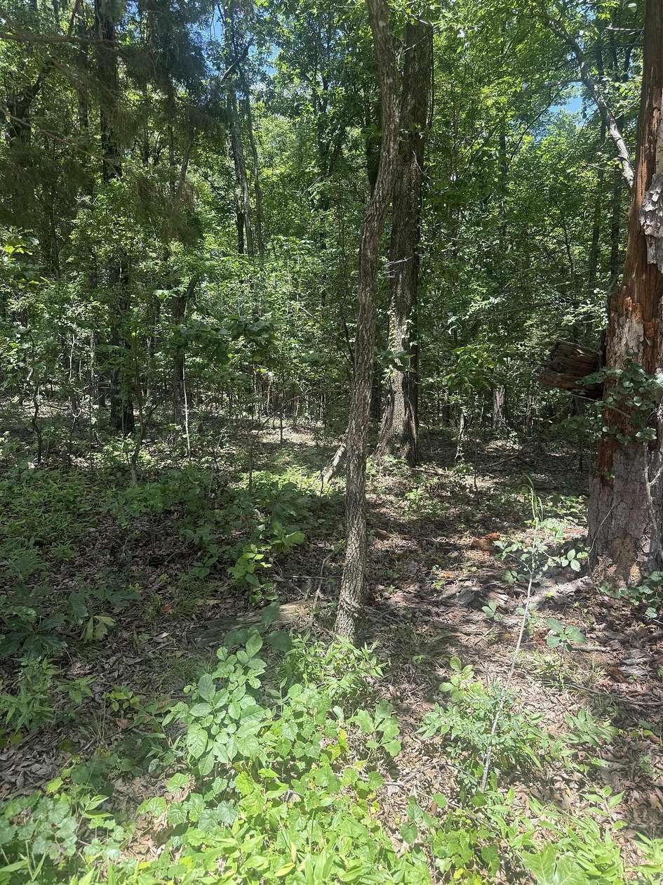 2 Acres of Residential Land for Sale in Paragould, Arkansas