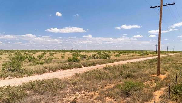 10.1 Acres of Land for Sale in Seminole, Texas