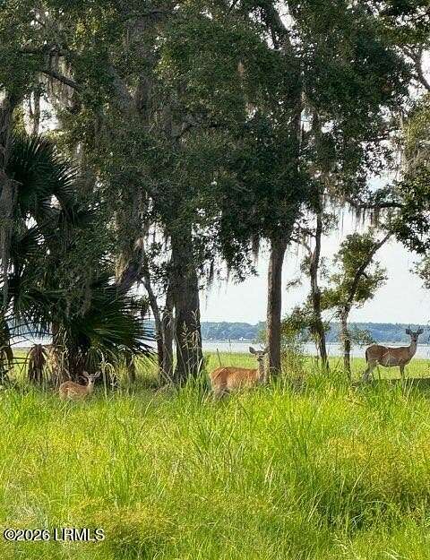 1.6 Acres of Residential Land for Sale in Beaufort, South Carolina