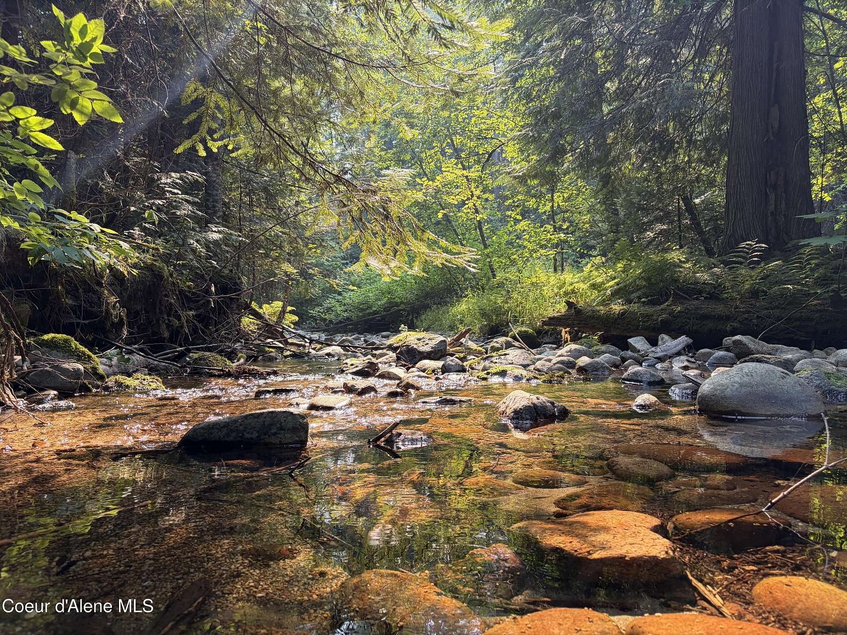 20.5 Acres of Recreational & Residential Land for Sale in Sandpoint, Idaho