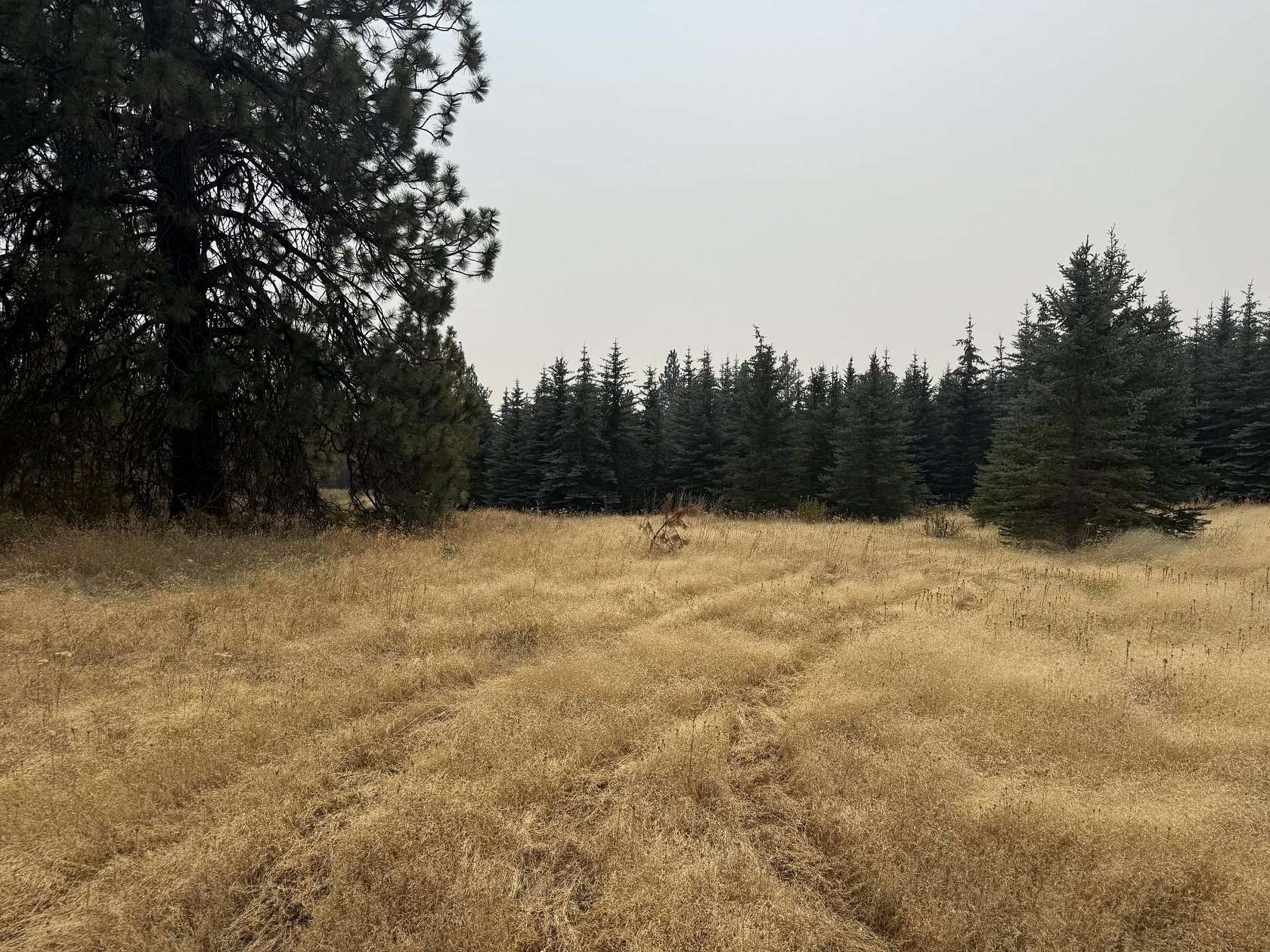 20.4 Acres of Land for Sale in Mica, Washington