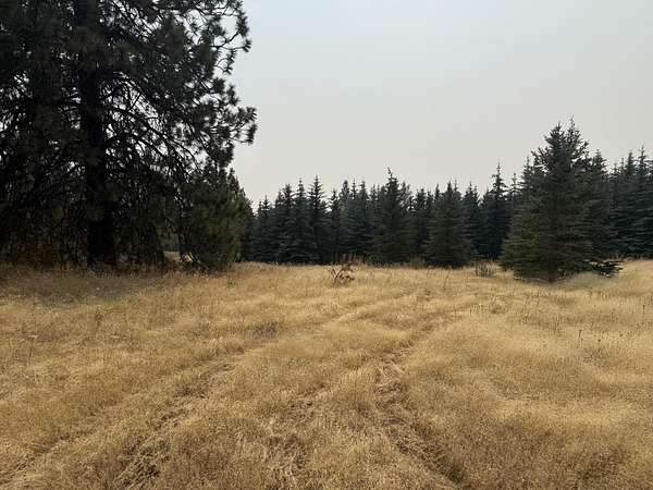20.4 Acres of Land for Sale in Mica, Washington