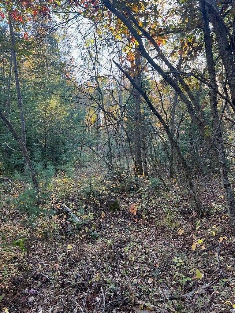 20 Acres of Recreational & Residential Land for Sale in Roscommon, Michigan