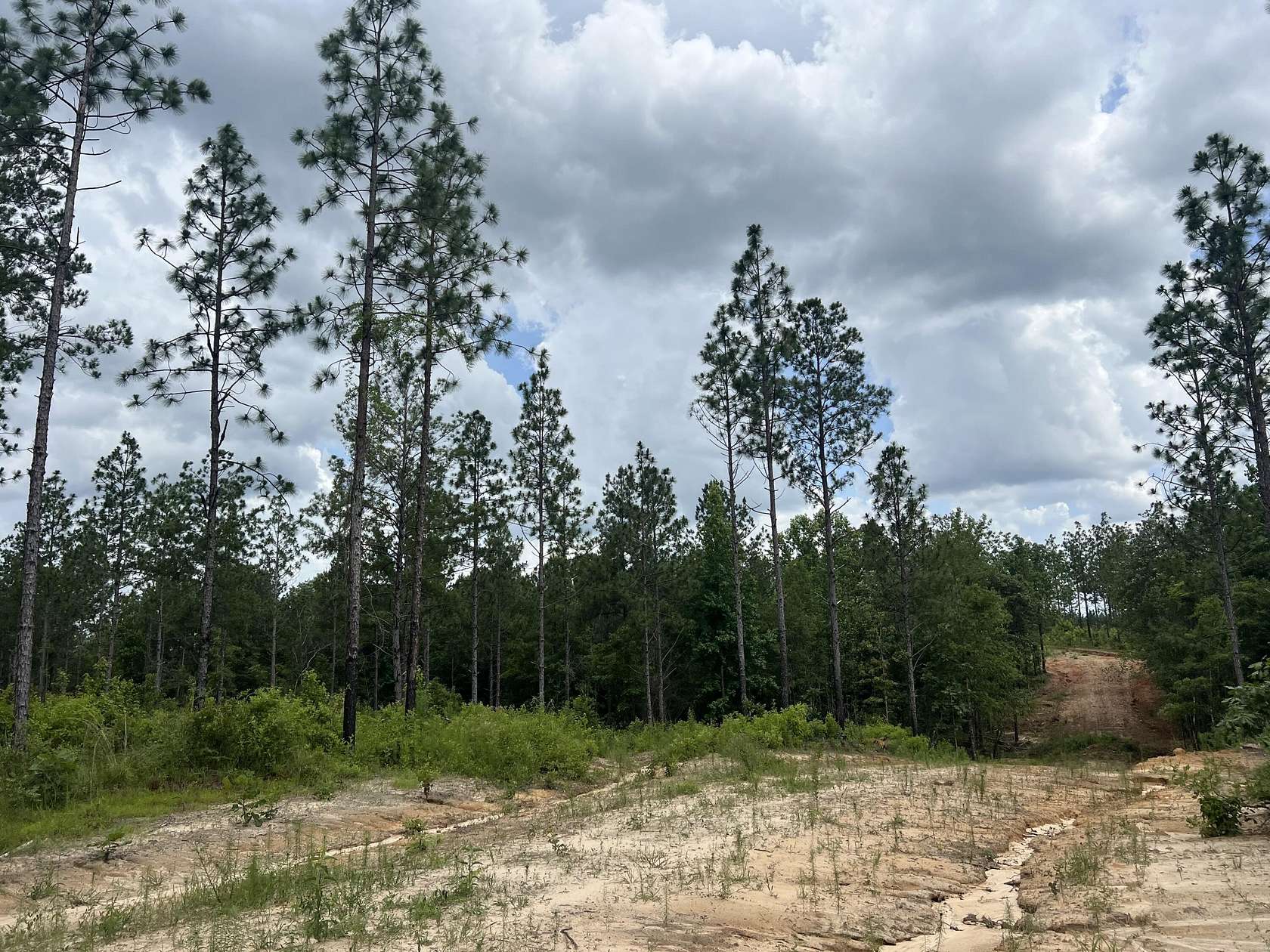 68 Acres of Recreational & Residential Land for Sale in Lumberton, Mississippi