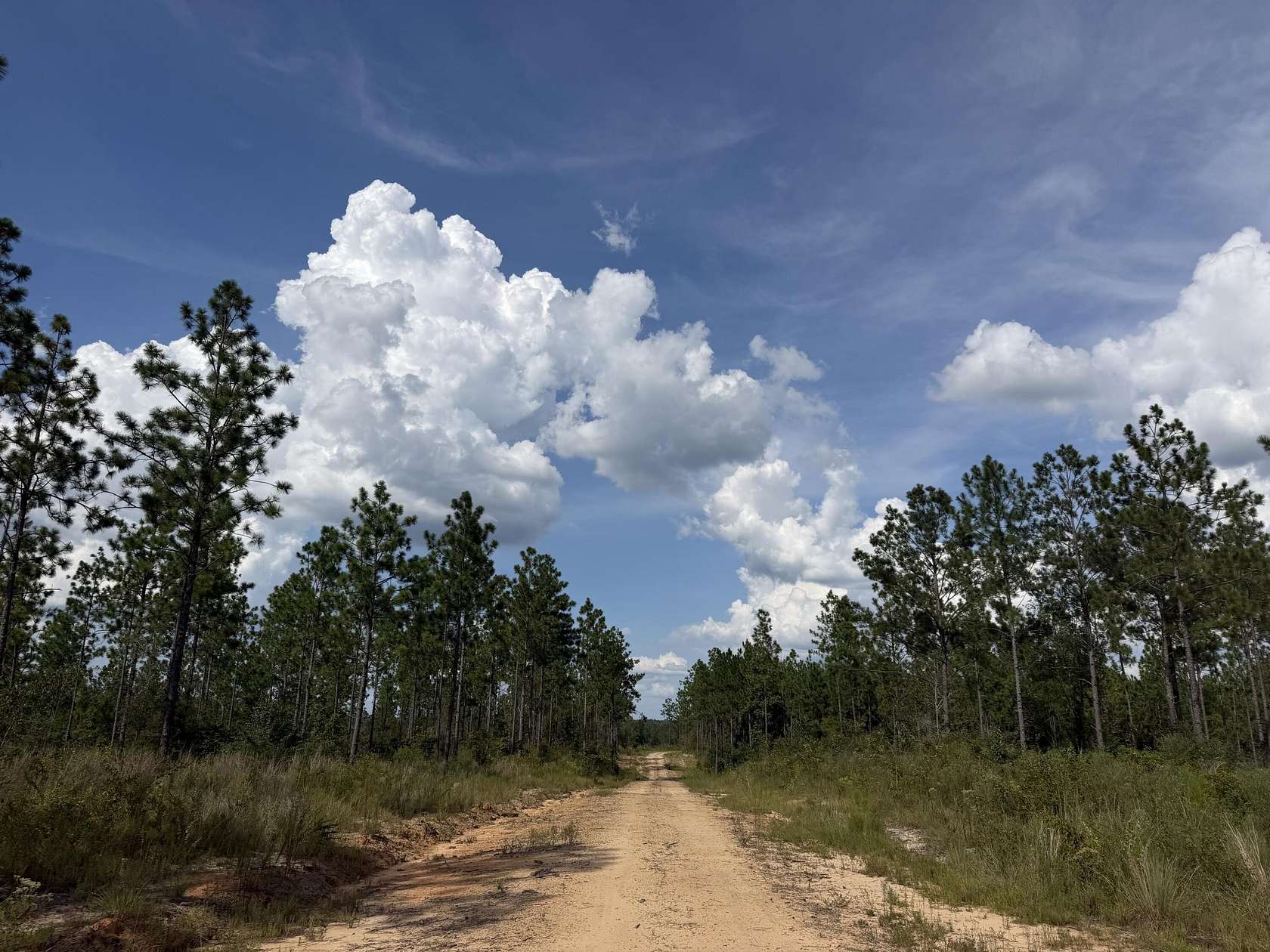68 Acres of Recreational & Residential Land for Sale in Lumberton, Mississippi