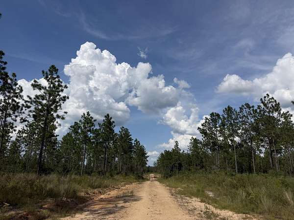 68 Acres of Recreational & Residential Land for Sale in Lumberton, Mississippi