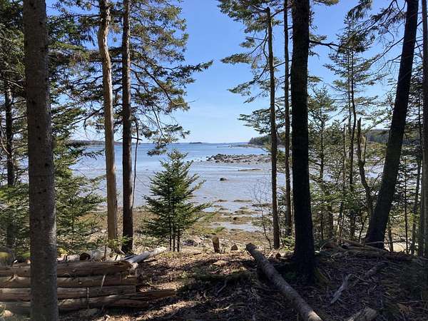 25 Acres of Recreational Land for Sale in Brooklin, Maine