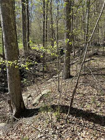 6.3 Acres of Residential Land for Sale in Sparrow Bush, New York