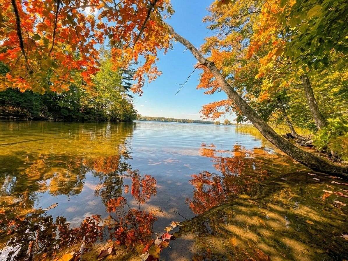 2.74 Acres of Residential Land for Sale in Birchwood, Wisconsin