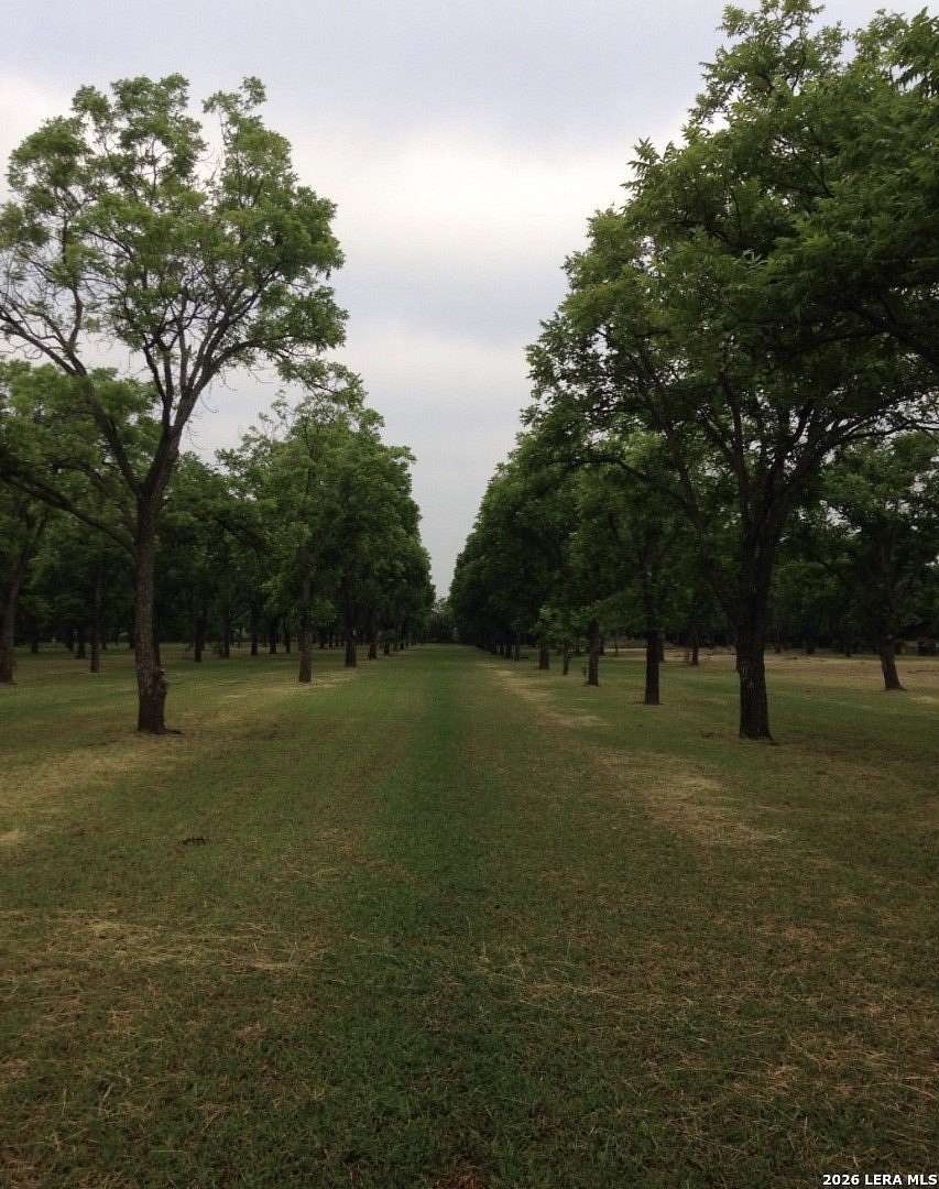 5.54 Acres of Residential Land for Sale in Quemado, Texas