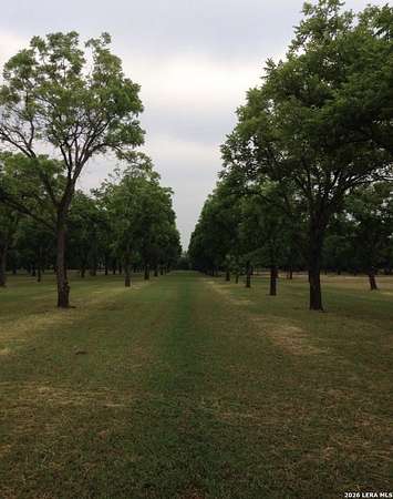 5.54 Acres of Residential Land for Sale in Quemado, Texas