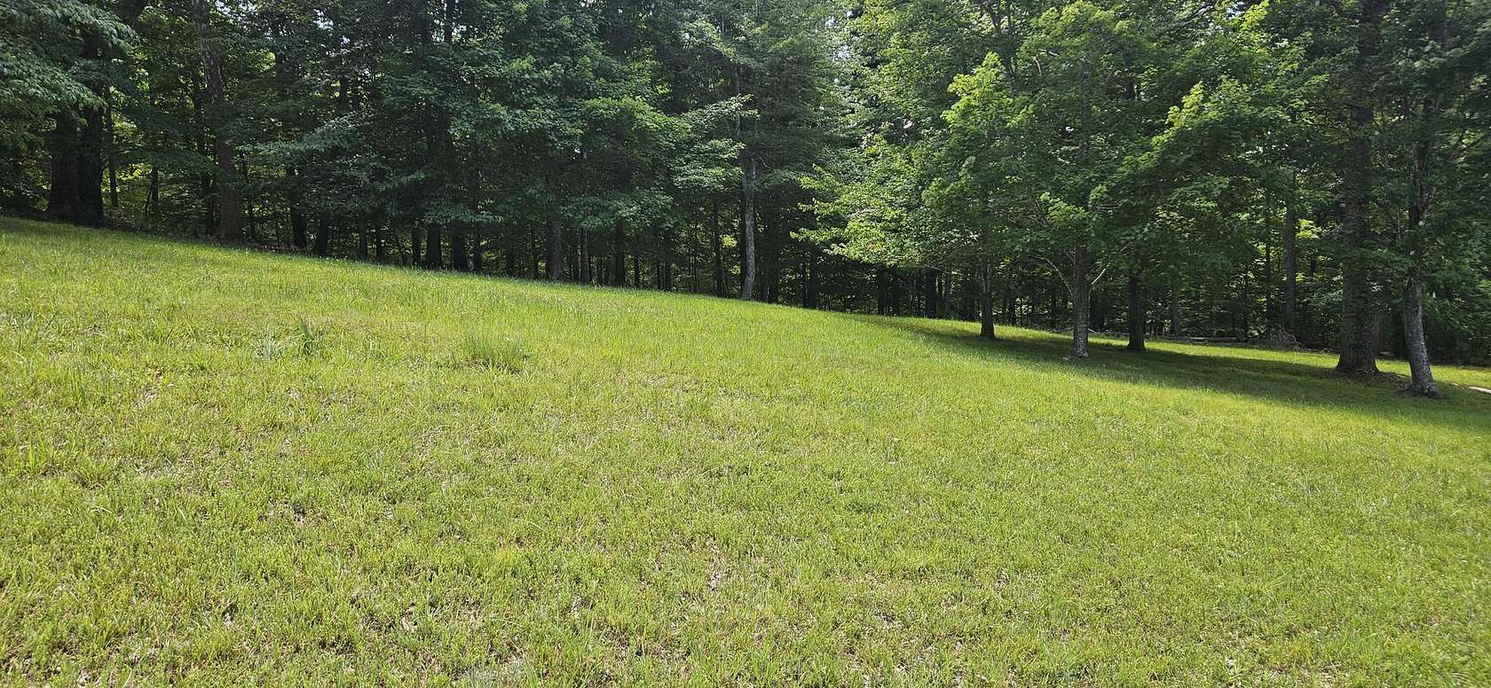 1.26 Acres of Land for Sale in Moneta, Virginia