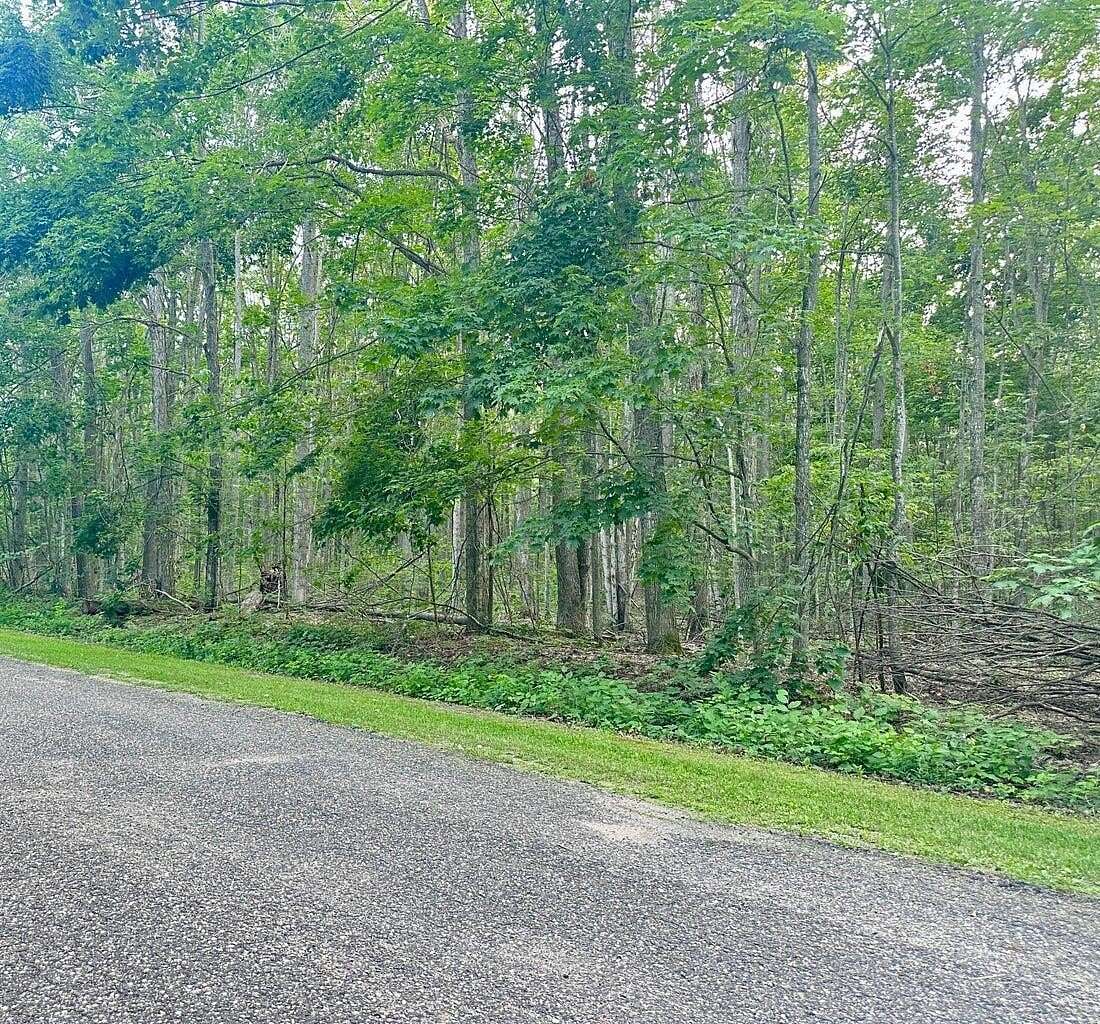0.46 Acres of Land for Sale in Elmira, Michigan