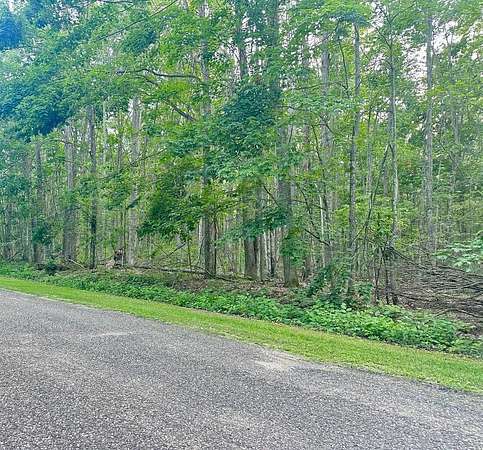 0.46 Acres of Land for Sale in Elmira, Michigan