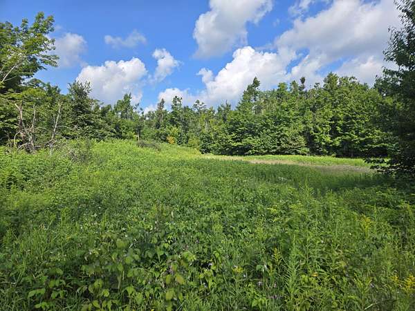 9.35 Acres of Residential Land for Sale in Gaylord, Michigan