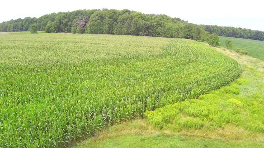 189 Acres of Land for Sale in Marathon City, Wisconsin