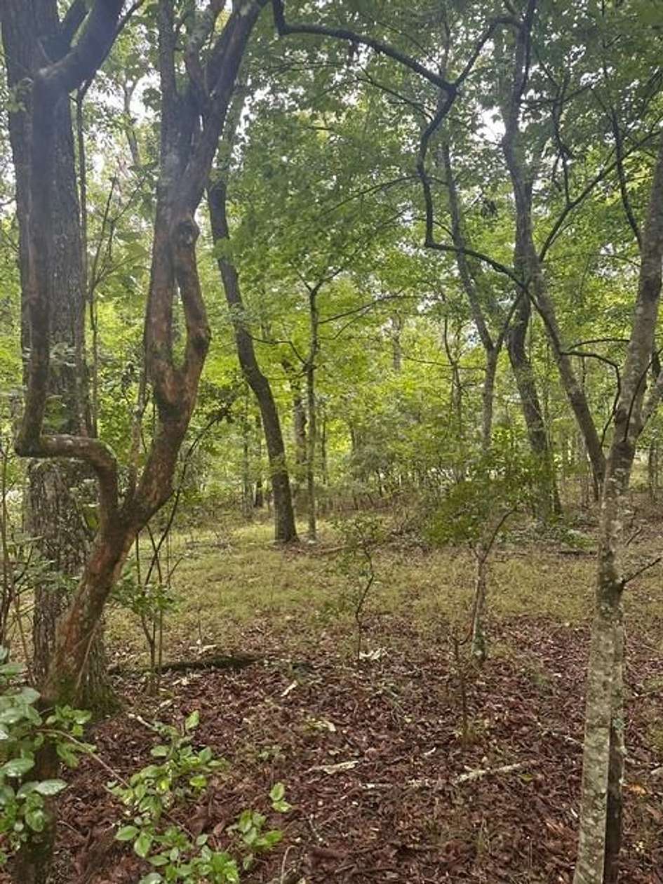 1.54 Acres of Land for Sale in South Pittsburg, Tennessee