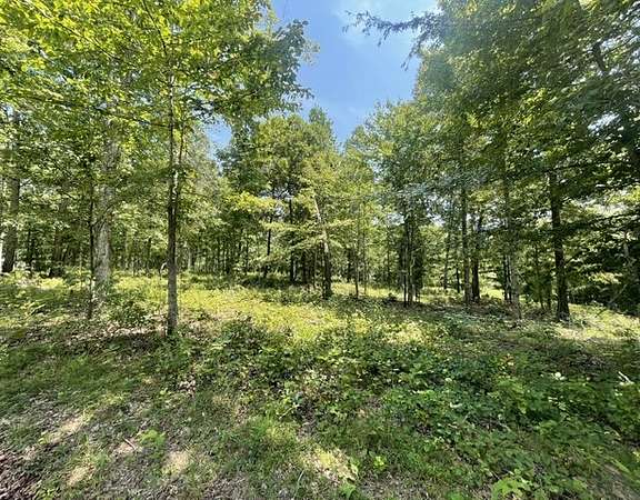 7.12 Acres of Residential Land for Sale in Waverly, Tennessee