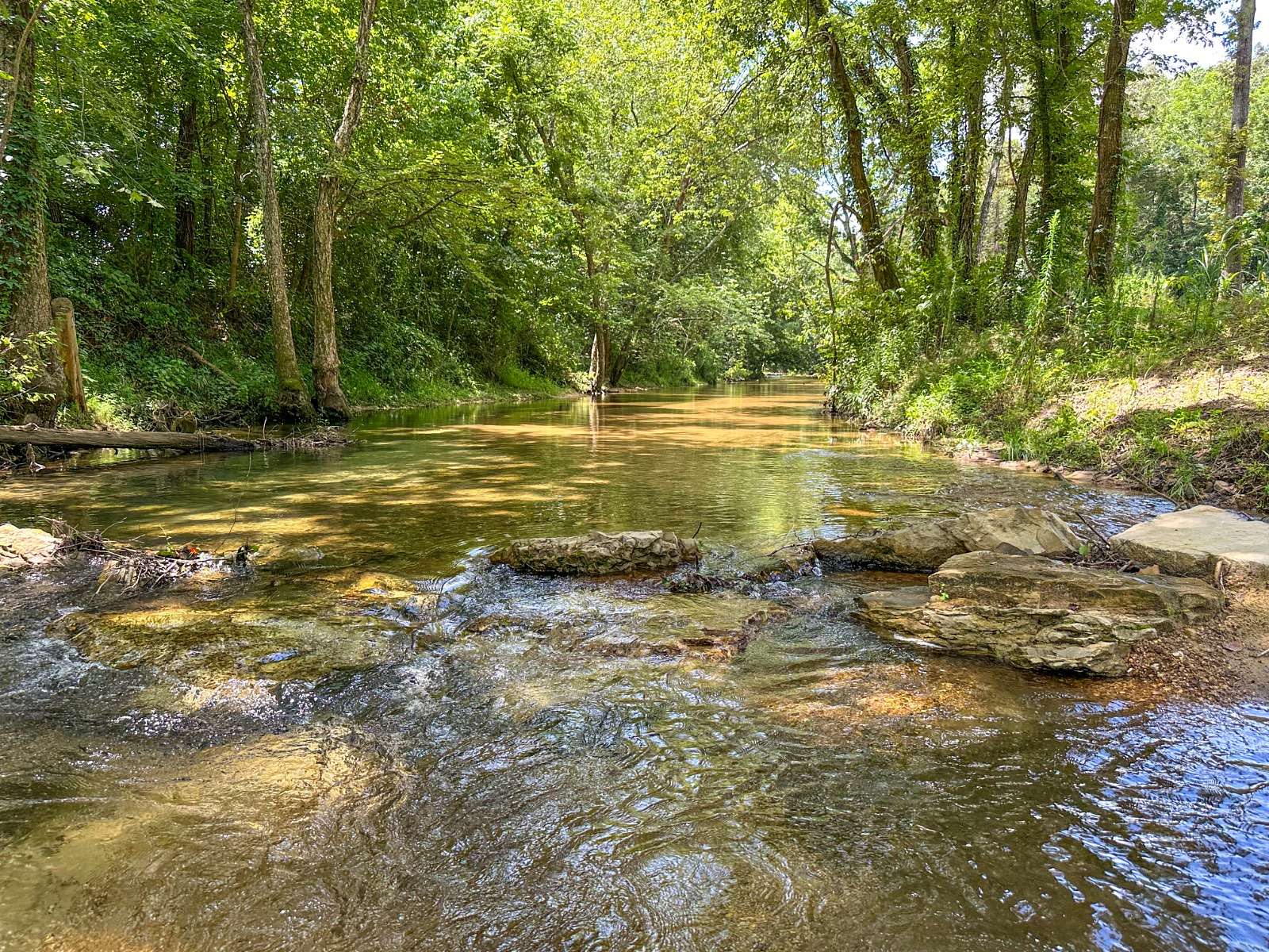 20.6 Acres of Land for Sale in Evening Shade, Arkansas