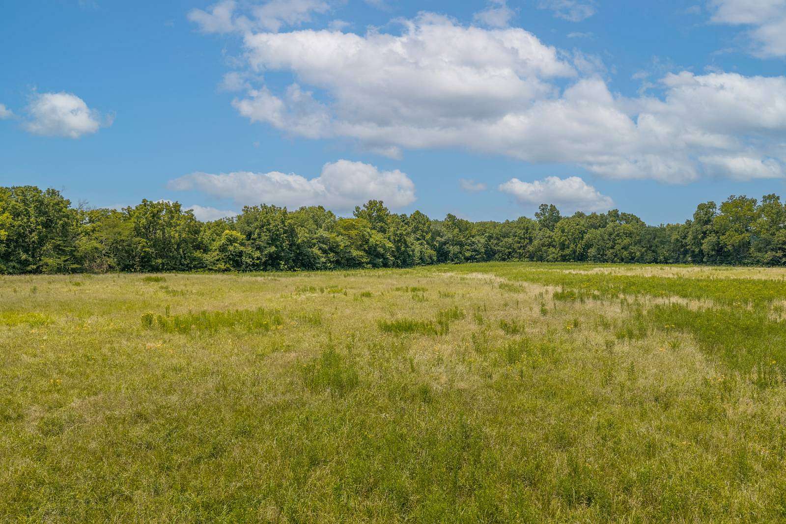 126 Acres of Land with Home for Auction in Sedalia, Missouri