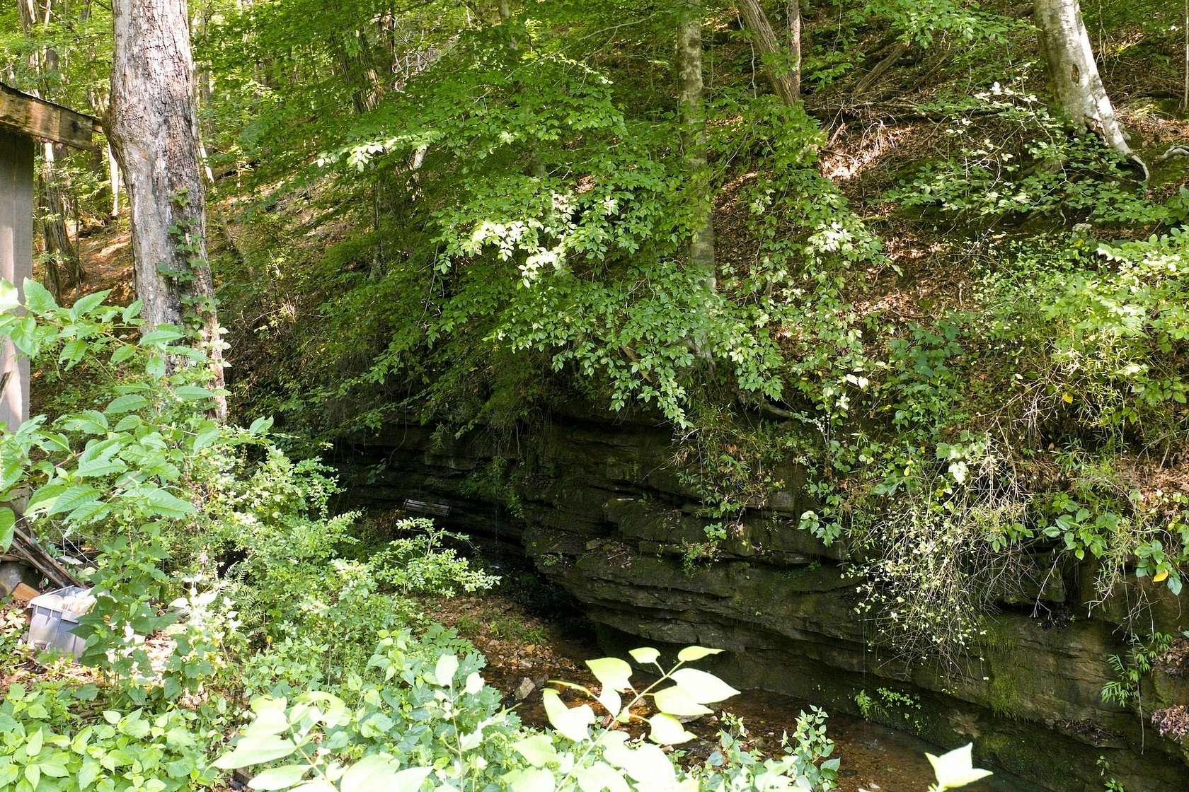 17.3 Acres of Land for Sale in Lawrenceburg, Tennessee