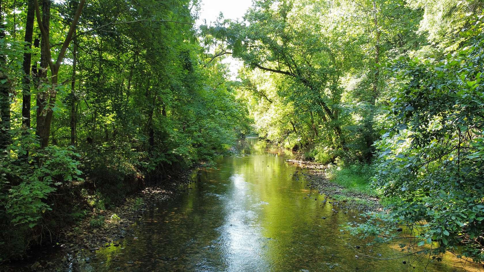84 Acres of Land for Sale in Erin, Tennessee