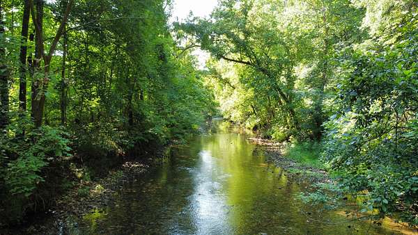 84 Acres of Land for Sale in Erin, Tennessee