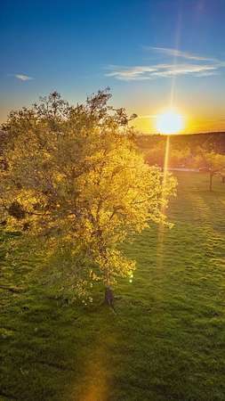 3.56 Acres of Residential Land for Sale in Weatherford, Texas
